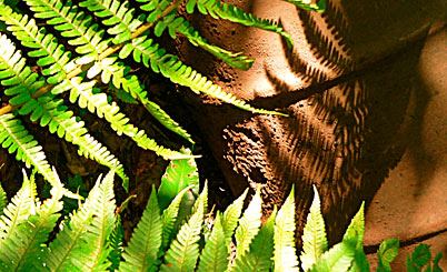 在线电话轰炸云呼死你